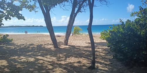 appartement Trinidad - Location saisonnière - Sainte-Anne