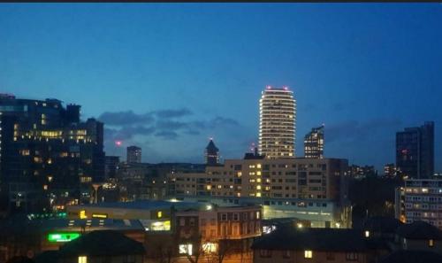Incredible 3BR Battersea Flat & Spectacular View, Londýn (fotografie 5)