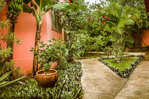 Pousada Veadeiros - Alto Paraiso de Goias - 정원