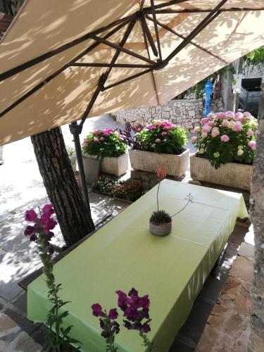 設施, Apartments Renata - Brsec in 比斯薩克