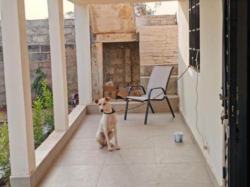 陽台/露台, RASTA'S Village Garden in 西部