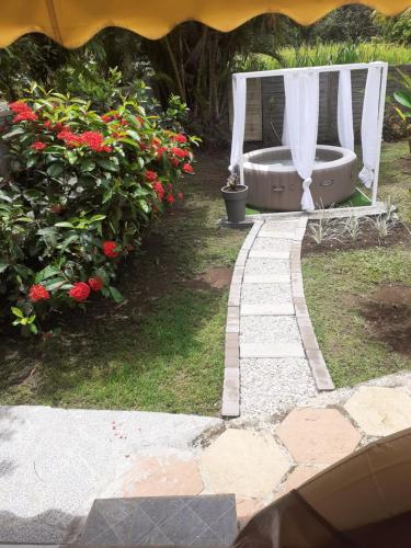 La Sainte Rosienne mangue in Sainte Rose