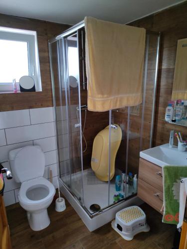 Chata Vyžice s bazénem se zimní zahradou a venkovním posezením (Chata Vyzice s bazenem se zimni zahradou a venkovnim posezenim) in Stary Dvur