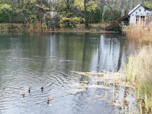 La cabane sur l'eau in Laid Trou