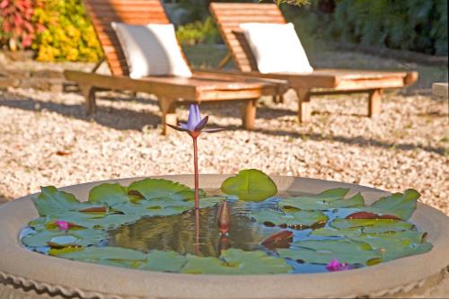 Fern Grotto Inn - image 7