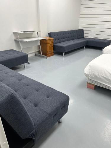 3 single bed and 2 double sofa beds Serviced Studio, Suite 7, Auckland (Foto 4)
