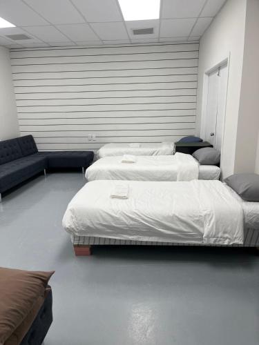 3 single bed and 2 double sofa beds Serviced Studio, Suite 7, Auckland (Foto 8)