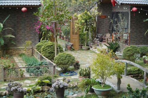 Gobies Garden