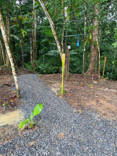 Vaade, El Nido del Tucan Rio Celeste in Katira