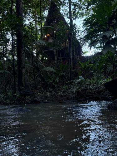 Vaade, El Nido del Tucan Rio Celeste in Katira