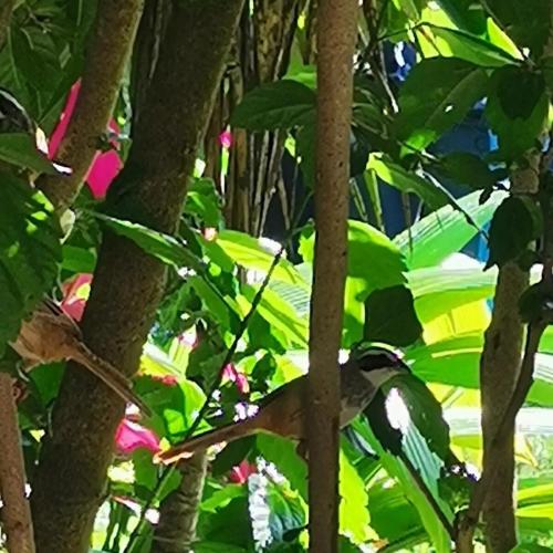 Ecobandé Apartment Reconnect with nature