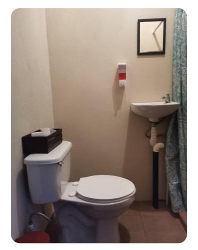 Ecobandé Apartment Reconnect with nature