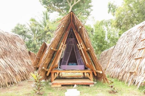 Wonderland Wonderland