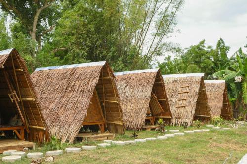 Wonderland Wonderland