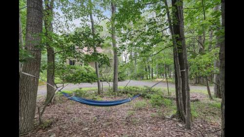 Weekend at Bernies II! *Pet-friendly* *jacuzzi tub* *pool table* in Long Pond, USA