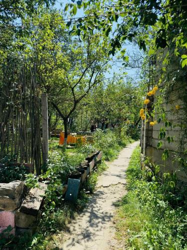 Uitzicht, Rossi Rest House in Dilijan