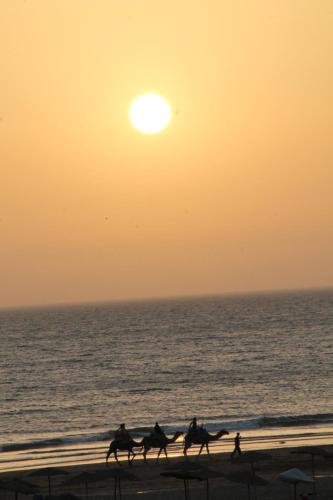 SIDI KaouKI PERLA SIDI KaouKI PERLA