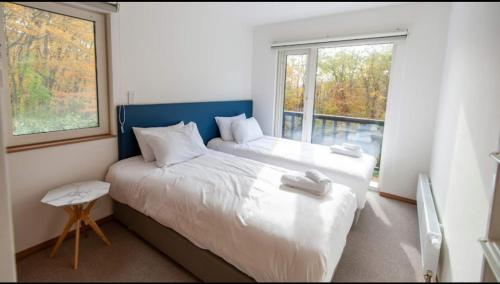 Taki - Annupuri Riverside Chalet, Niseko (fotografie 6)