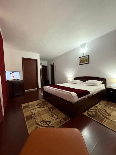 Hotel Ciric - image 11