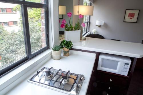 FlowSuites Polanco - image 5