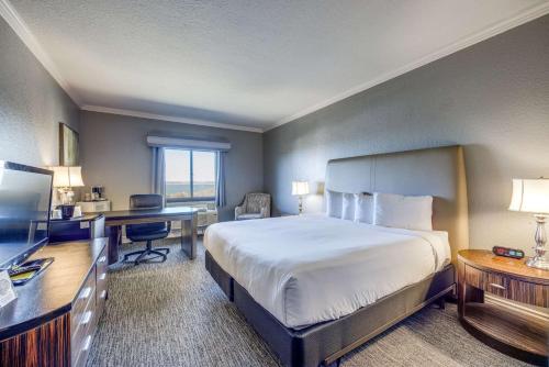 King Room with Roll-In Shower - Disability Access/Non Smoking
