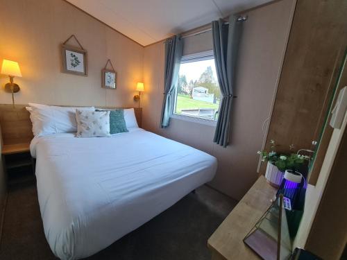 5 lochview, Beattock (foto 9)