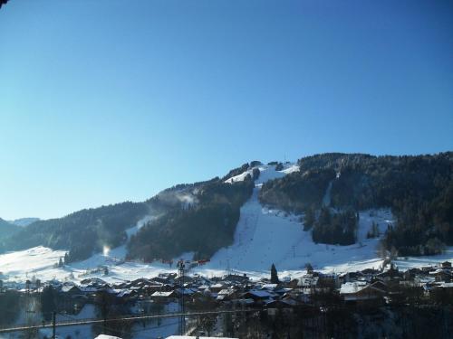 Hotel Alpina - image 12