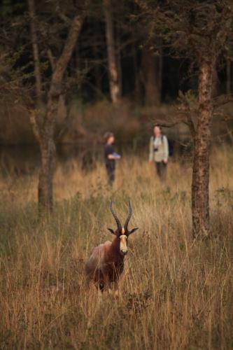 Sport e attività, Down Gran's Self-Catering Cottage in Ezulwini