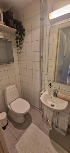 Cozy 1 bedroom apartment in Oslo Sentrum, Oslo (fotografie 7)