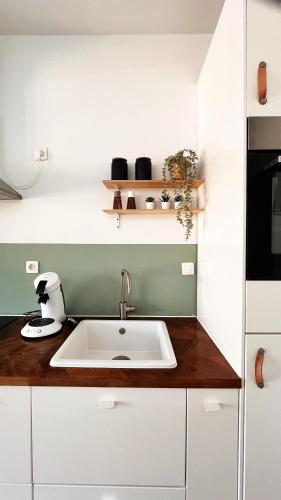 Artist's Nest apartment, Amberes (foto 6)
