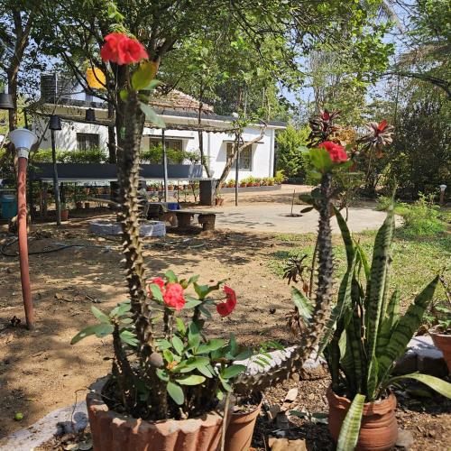 Mysticgreens Home Stay