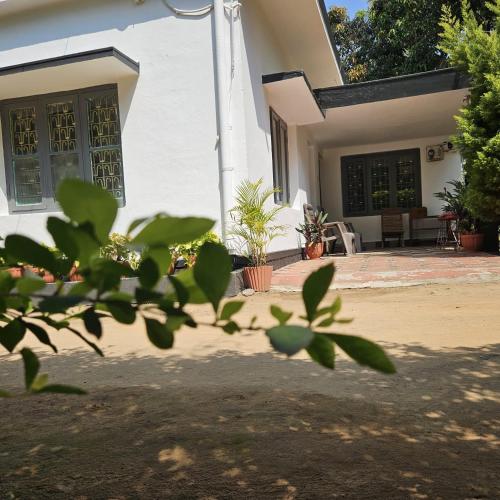 Mysticgreens Home Stay in จิกกวัททาราเกเร