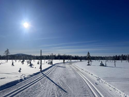 Fokus, Syöte (foto 5)