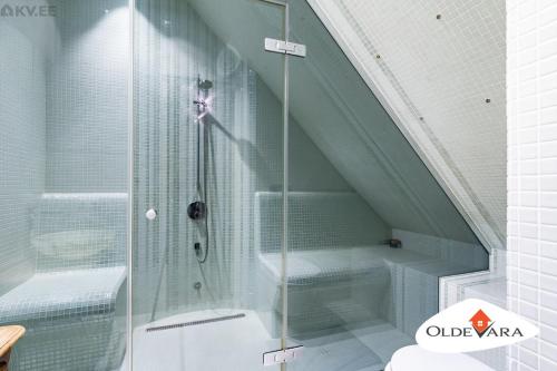 Vene 19 Heritage Residence with sauna, Tallinn (photo 9)