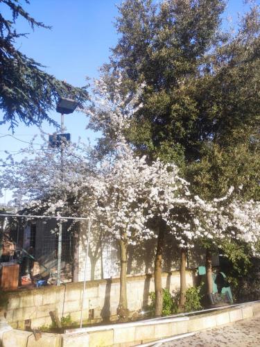 Alloggio in trullo con bagno indipendente