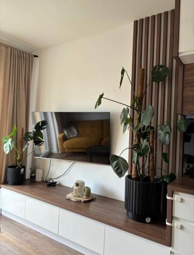 Apartament Cztery Pory Roku in Jagodno