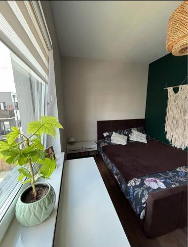 Apartament Cztery Pory Roku in Jagodno