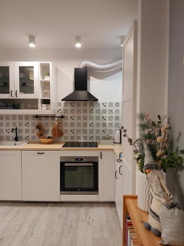 Apartament Villa Natura II in Щитно