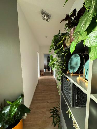 Gemütliche Schlafcouch im hellen Wohnzimmer zum Kurzaufenthalt, Kolín nad Rýnem (fotografie 3)