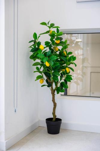 Facilities, Casa Bella in Almancil