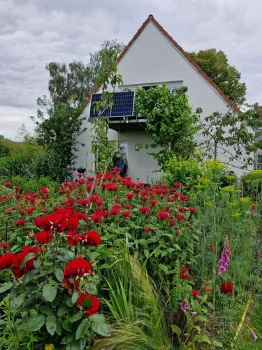 Ferienwohnung Adebar in Bechhofen, Deutschland