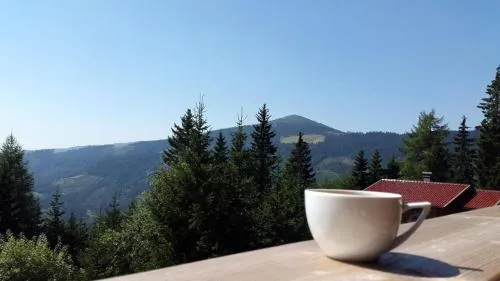 Almzeit Klippitz in Klippitztorl, Österreich