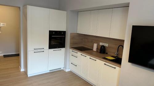 Stacja Karkonosze - studio w centrum Szklarska Poręba, Szklarska Poręba (foto 10)