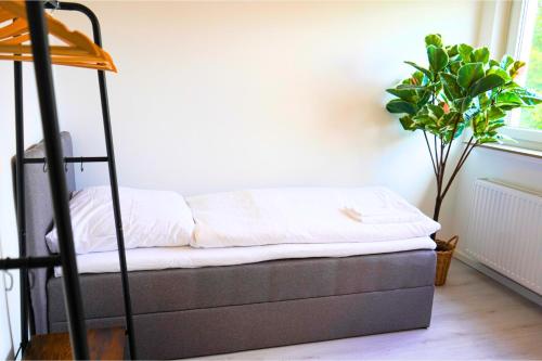 unique - spacious for 5 - balcony - kitchen - WiFi, Bremen (photo 6)