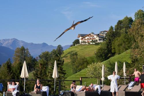 Hotel Panorama - image 14