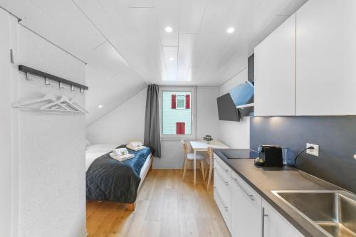 book2stay - Apartments Herisau Room Type - Studio Apartment