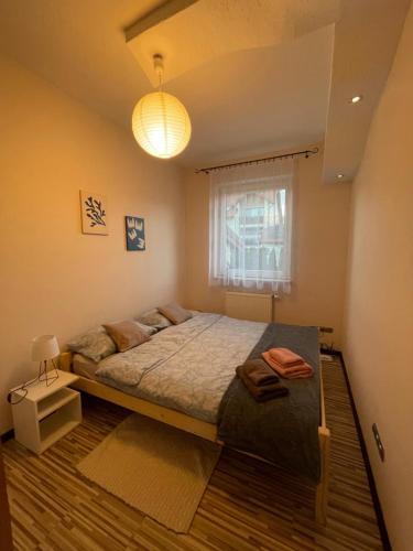 Apartament Moniuszki in 比烏戈拉伊