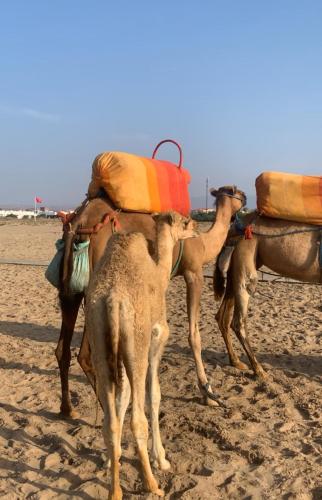 ranta, Appartement Sun of Saïdia (Appartement Sun of Saidia) in Saidia