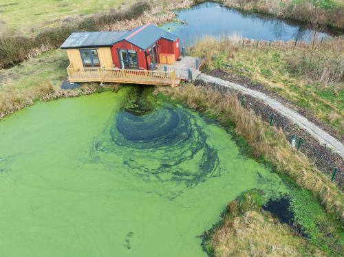 Red Sheds Cabin 'Herons Den' in Portarlington
