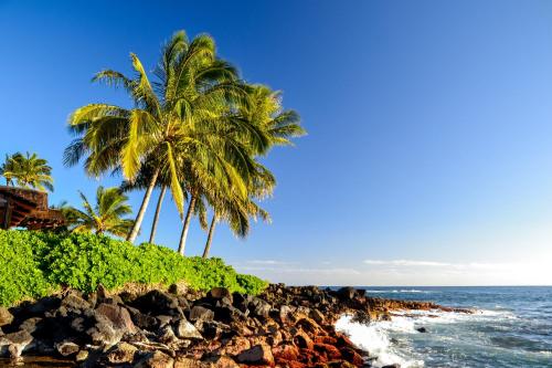 Kapaa Shore C324 - image 6